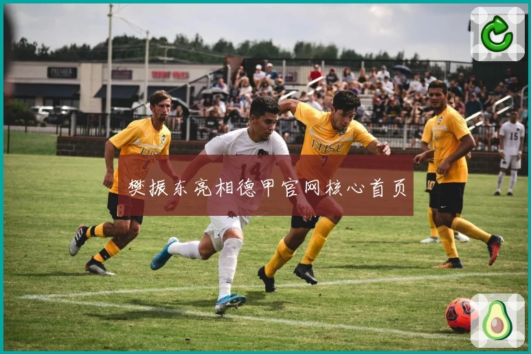 樊振东亮相德甲官网核心首页