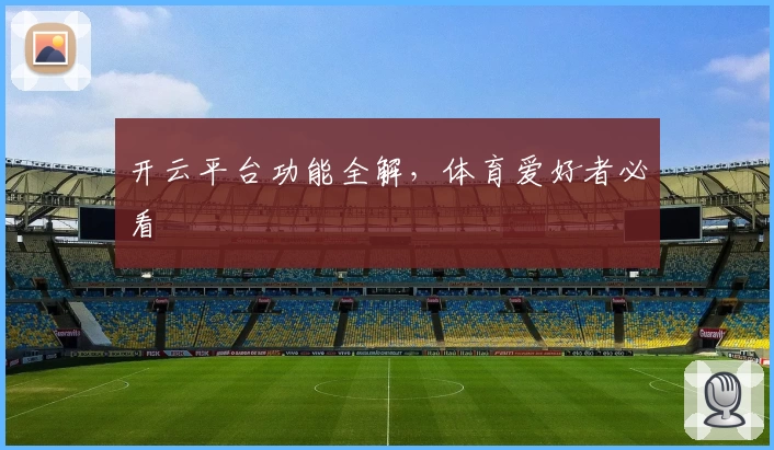 开云平台功能全解，体育爱好者必看