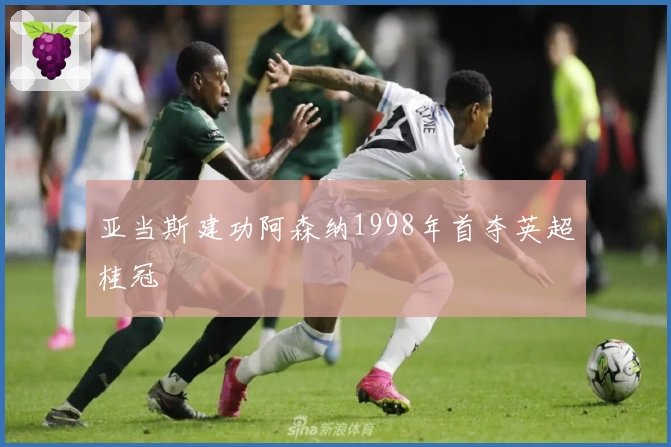 亚当斯建功阿森纳1998年首夺英超桂冠