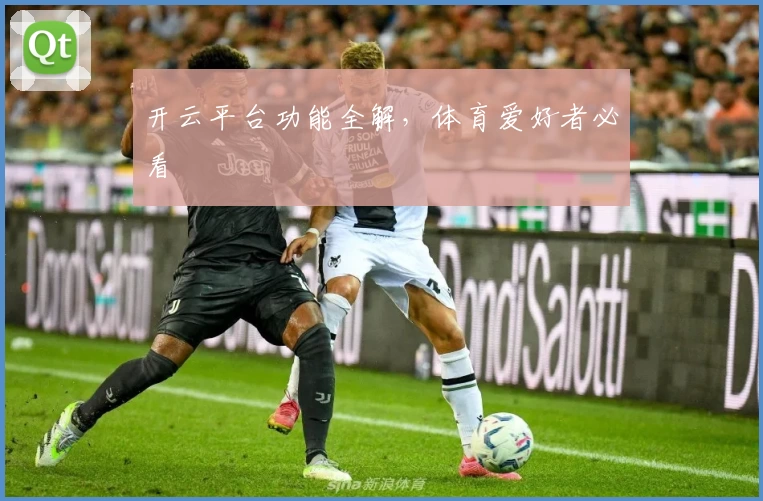 开云平台功能全解，体育爱好者必看