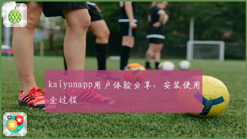 kaiyunapp用户体验分享，安装使用全过程